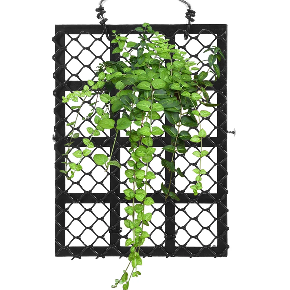 

2Pcs Fern Mounting Board Wall Planter 22x16cm for Indoor Outdoor Use with Easy Installation and Durable Material