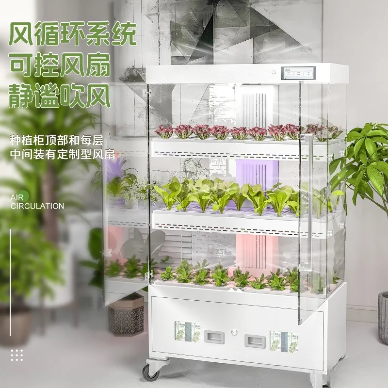 Intelligent Hydroponic Vegetable Planter Exhibition Hall Research Campus Soilless Cultivation System Three-dimensional