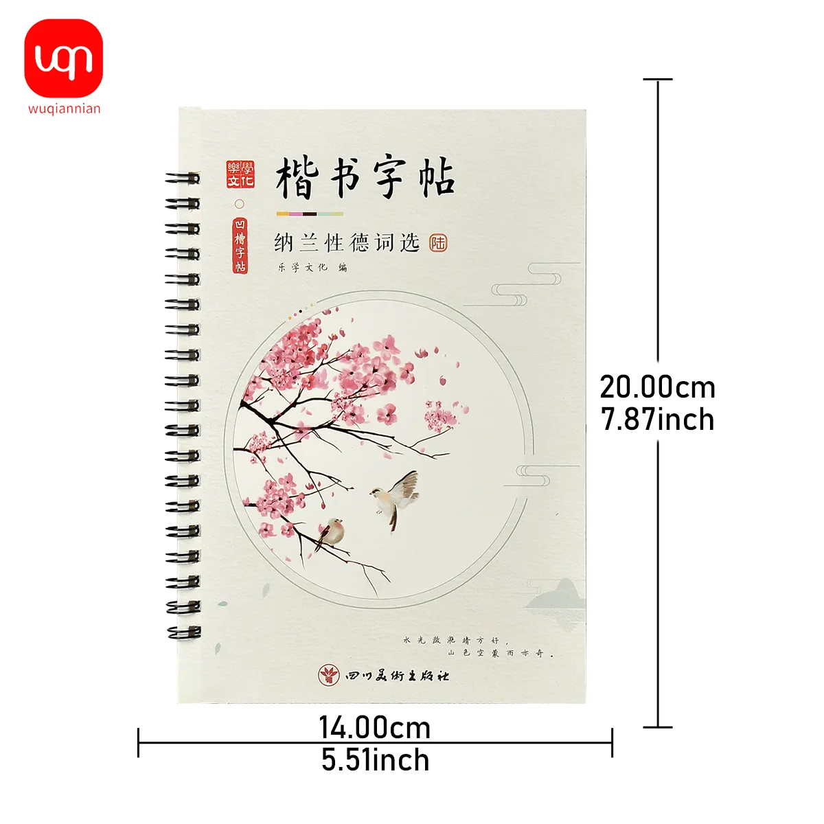 WQN-6PCS 3D Chinese Characters Reusable Grooved Calligraphy Copybook for Learning Chinese Characters, Adult Writing Book, Gift