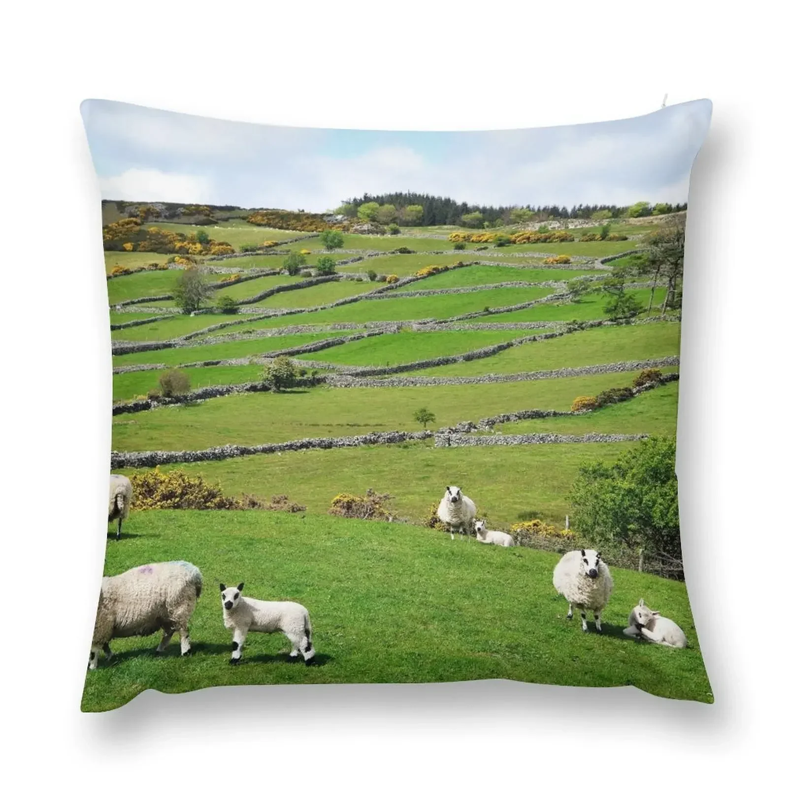 Kerry Hill Sheep Throw Pillow Sofa Cushion Cover christmas supplies Throw Pillow Covers pillow