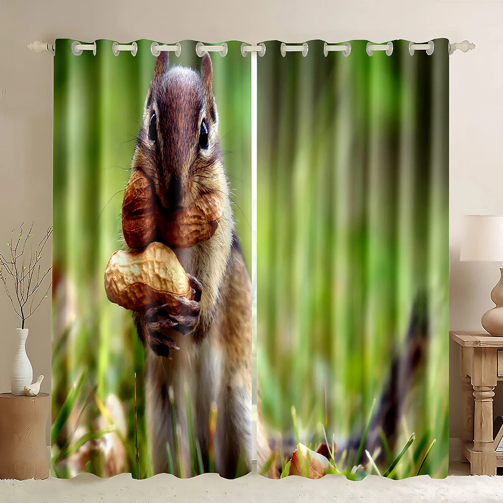 Blackout Curtains Squirrel,Forest Squirrel Standing With Mushroom,Wild Animal 3D Printing Thermal Insulated Window Curtains