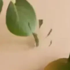 S/M/L اليقطين سيليكون قالب شمع لتقوم بها بنفسك ثلاثية الأبعاد زخرفة الهالوين قالب شمع معطر الخرسانة الحرفية هدية ديكور الحفلات صنع أدوات #2