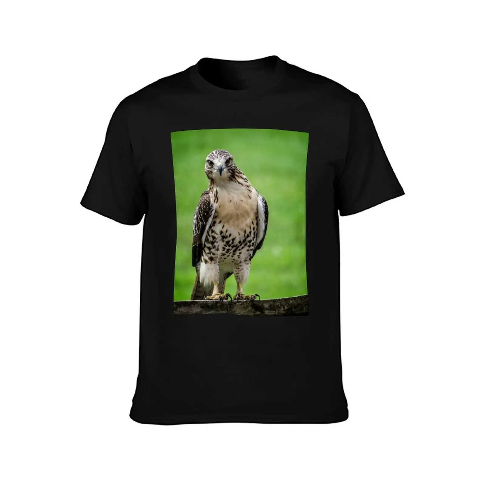 Beautiful Red Tail Hawk On A Railing T-Shirt Casual Soft Cotton Short Sleeve Tee T-Shirt