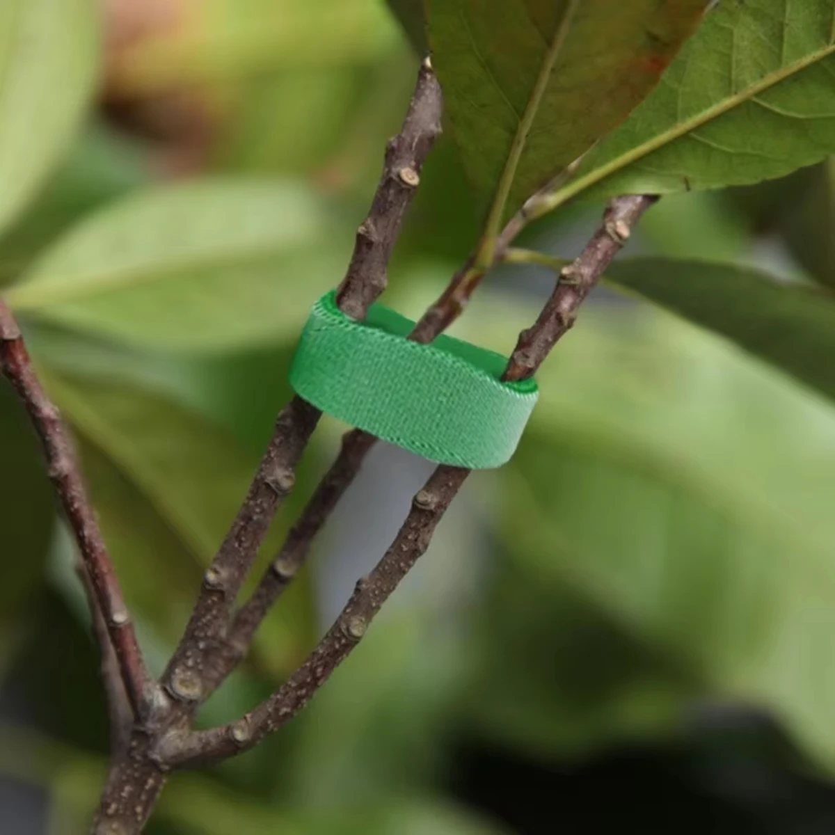 LSY 2026 Nylon Plant Ties Plant Bandage Hook Tie Loop Adjustable Plant Support Reusable Fastener Tape for Home Garden Accessorie