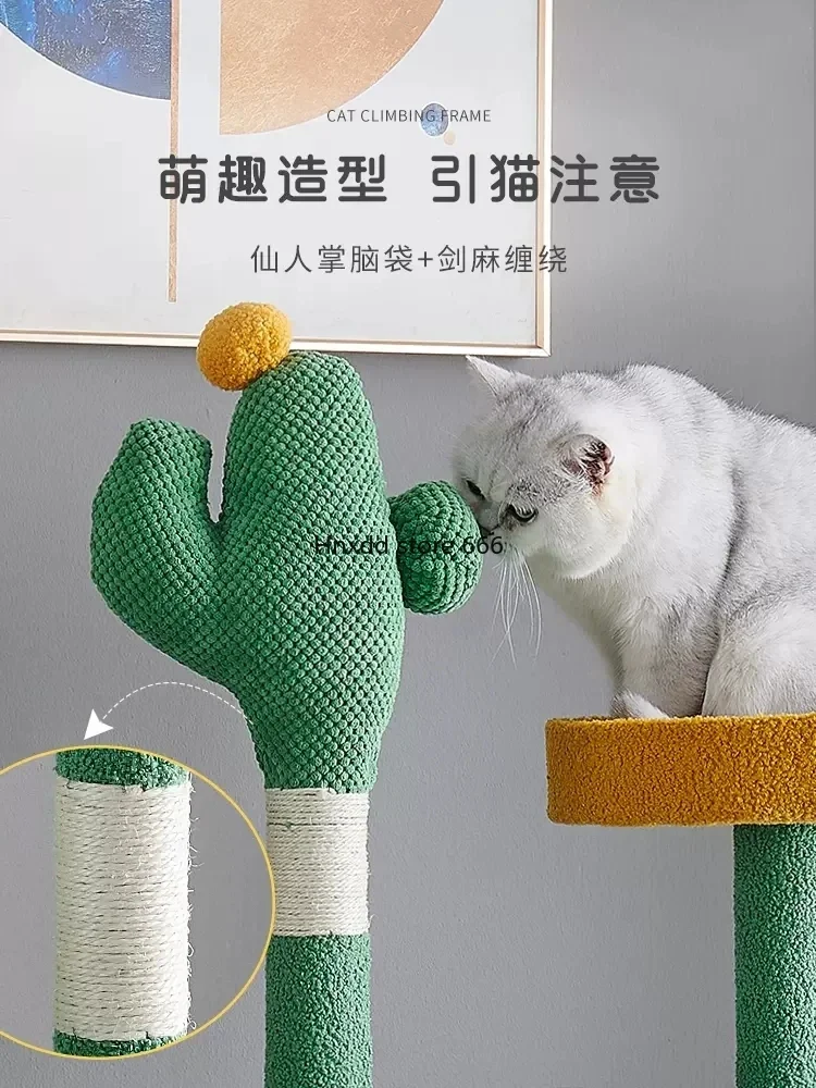 Kattenklimframe Zomercapsule Bezet De Kattenbenodigdheden Van Het Springplatform Niet