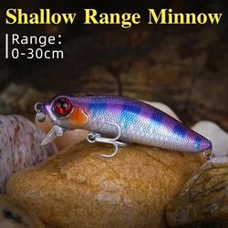 64mm 6g 64F Dead Floating Minnow Fishing Lure DW71 Pike Bass 0-30cm Shallow Range Jerkbait Tungsten Weight Hard Baits