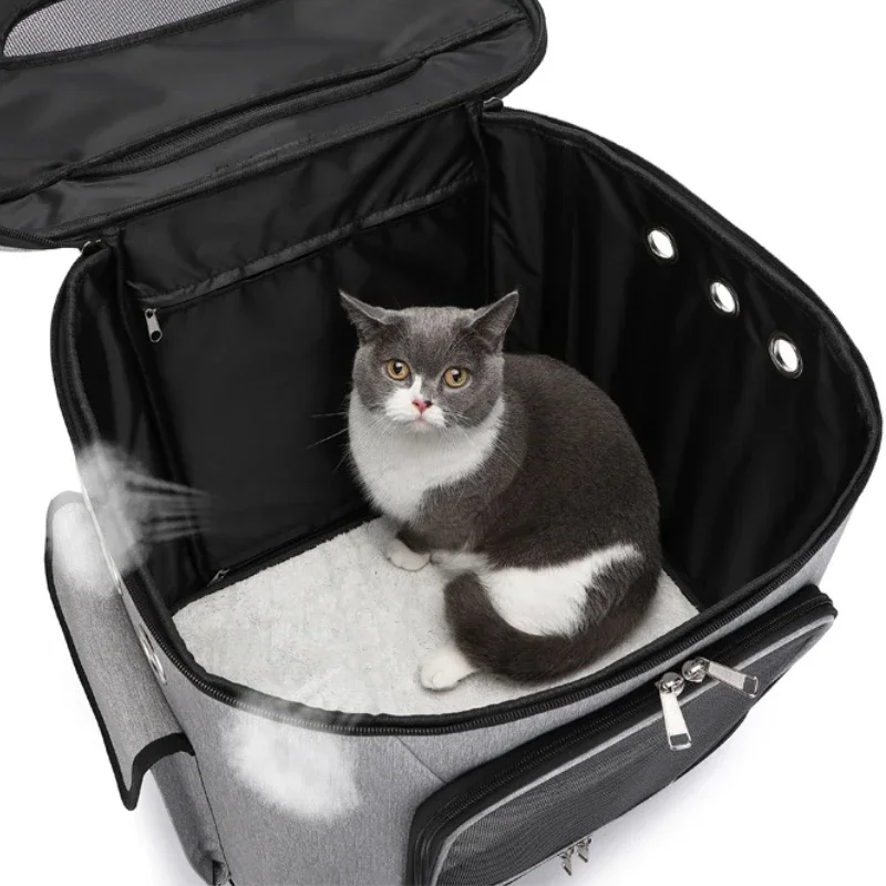 Thumbnail 4 - #7 Latest Dog Travel Crates Updates