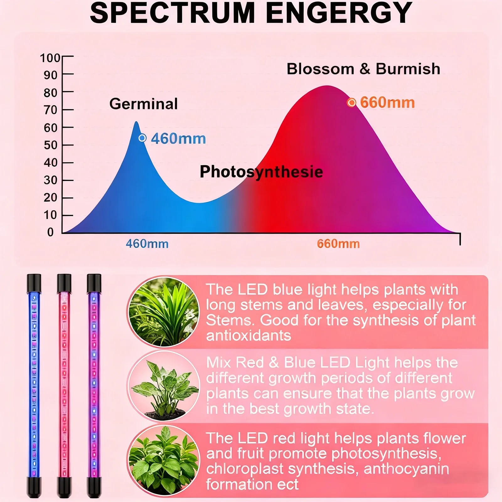 LED Grow Light, Full Spectrum Clip Plant Growing Lamp with Red Blue LEDs for Indoor Plants, Seed Starting, 10-Level Dimmable