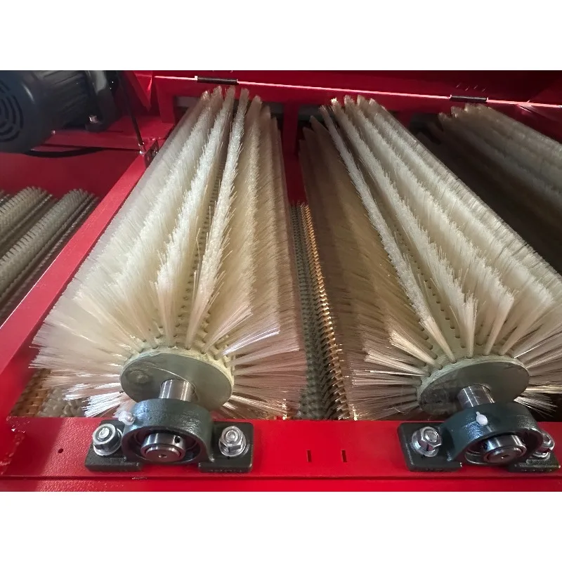 Commercial New Condition Potato Dry Cleaning Machine Fruit Vegetables Continuous Brushes Vegetable Processing Plant Farm Inclu view 6