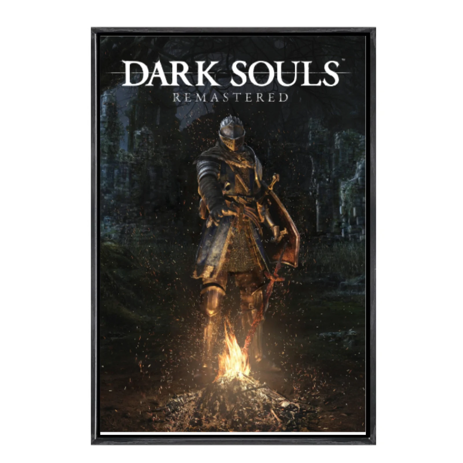 

Japanese Manga Multi-Size Canvas Poster Double Framed Wall Art,Dark Souls Home Decor for Living Room Bedroom
