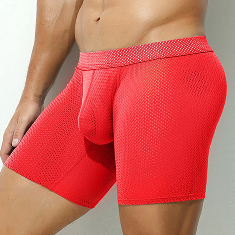 Sports Activities S XL Low Waist Underwear Mens Sexy Pouch Underpants Breathable Mesh Underpants 88 Polyamide, 12 Spandex