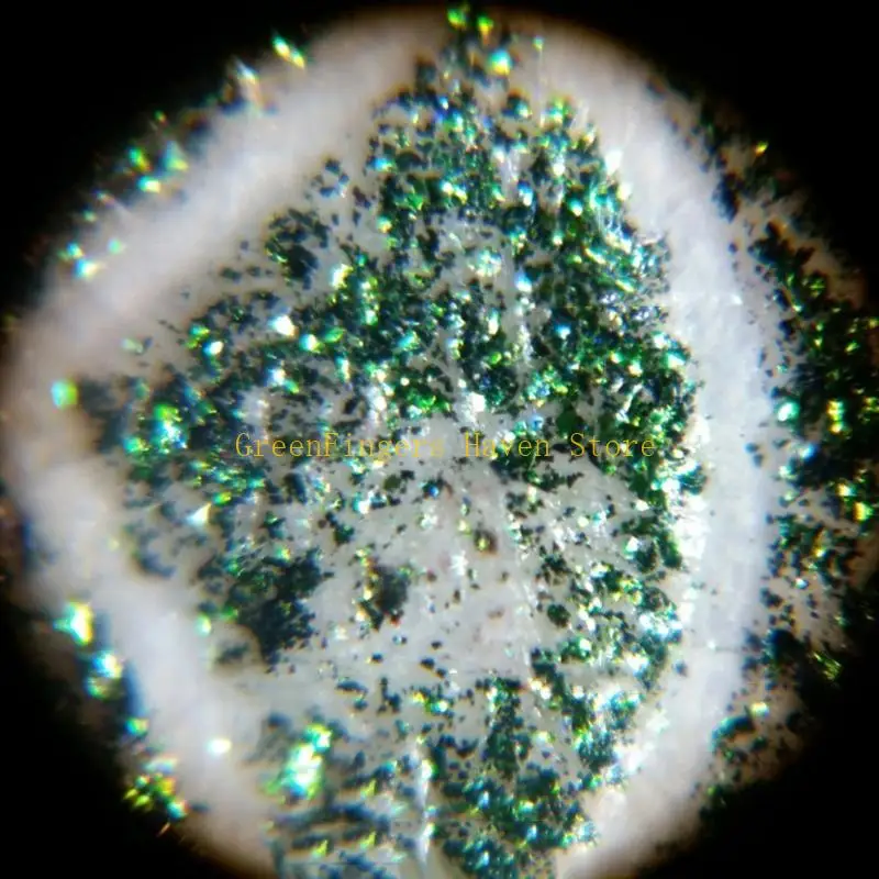 F68D Handhed Microscope 160-200X Adjustment Portable LED Microscope LED Lighted Pocket Microscope Magnifier-M25 White