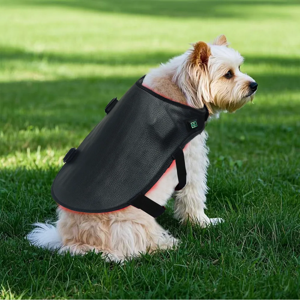 2026 660 + 850 red light infrared physiotherapy lamp products for nursing dog back