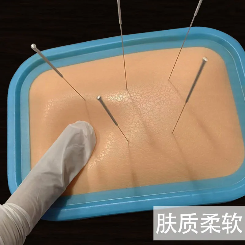 Model Texture Traditional Chinese Medicine Students Practice Acupuncture Skin Dry Restore Resistance Feeling Suture Foam