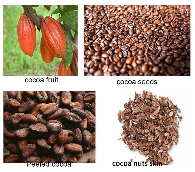 150kg/h Cocoa Peeling Machine Coffee Bean Peeler / Cocoa Bean Shelling Machine / Rice Huller Machine