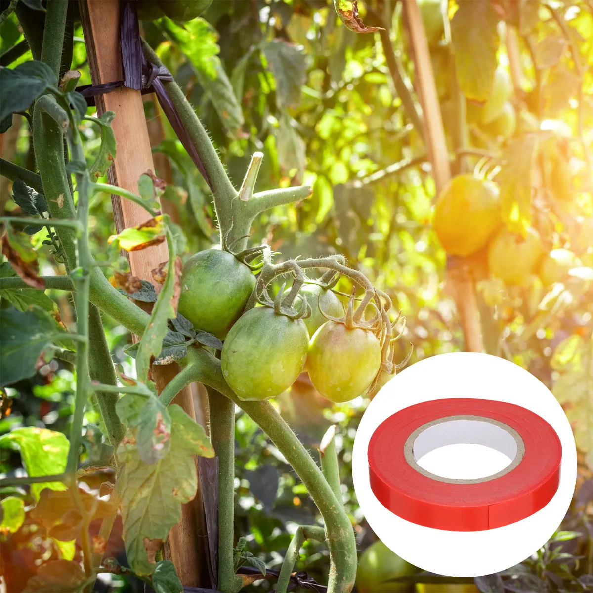 30M Self-Adhesive Stretch Gardening Tape – 10 Rolls Reusable Adjustable Plant Tie for Tomatoes, Peppers & Vines