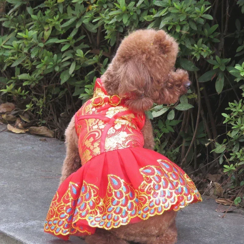 Summer Dog Dress New Year Pet Clothes Cat Dog Clothing Tang Suit Cheongsam Poodle Bichon Yorkshire Pomeranian Maltese Costumes