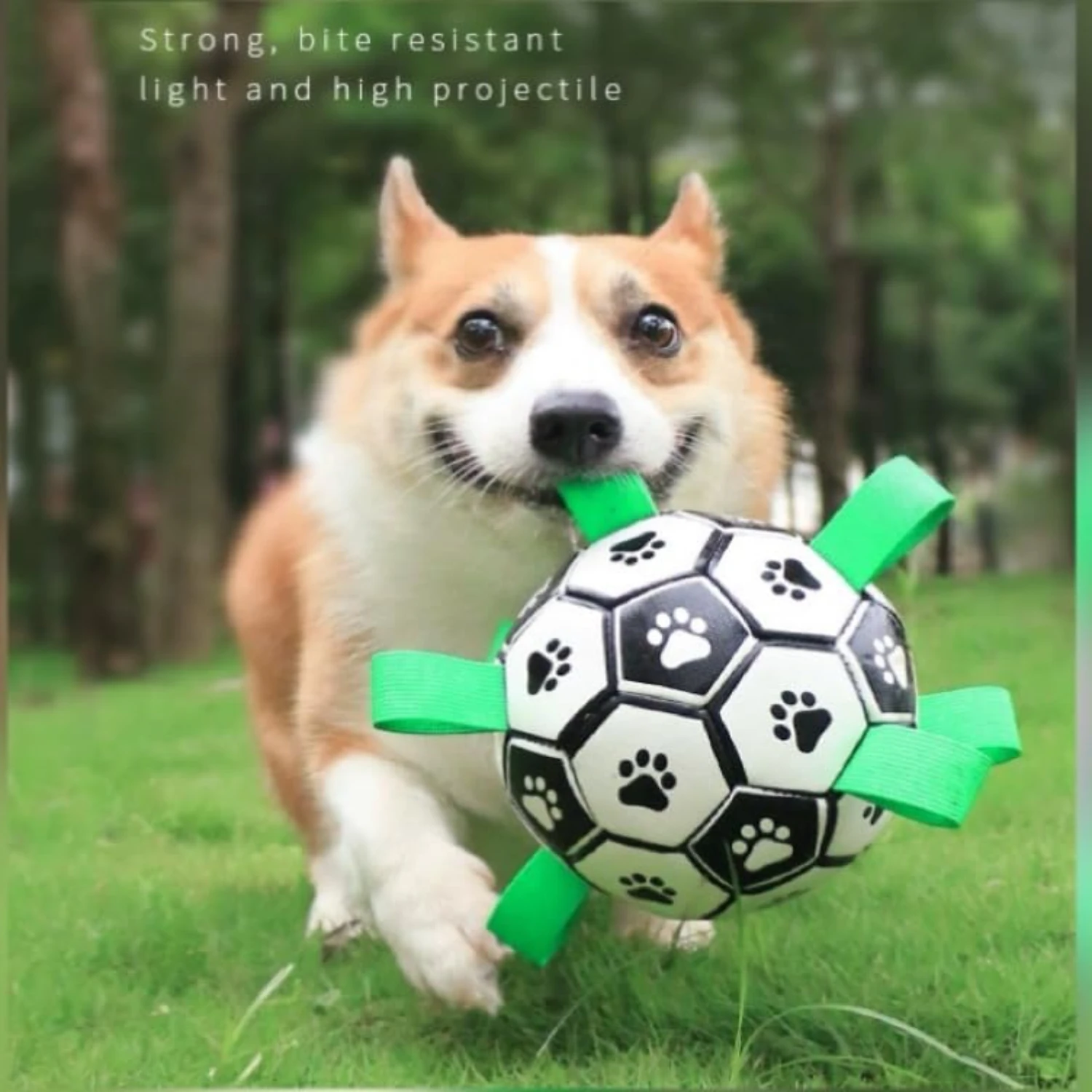 Exciting Large Soccer Ball Play Set for Energetic Border Collies - Convenient Interactive Toy with Perfect Straps and Handle - I