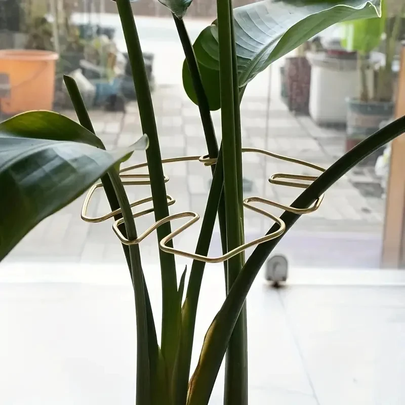 Suporte grande para plantas suspensas, ganchos de ferro, adequado para decoração de vasos de flores, uso interno e externo, 5 peças