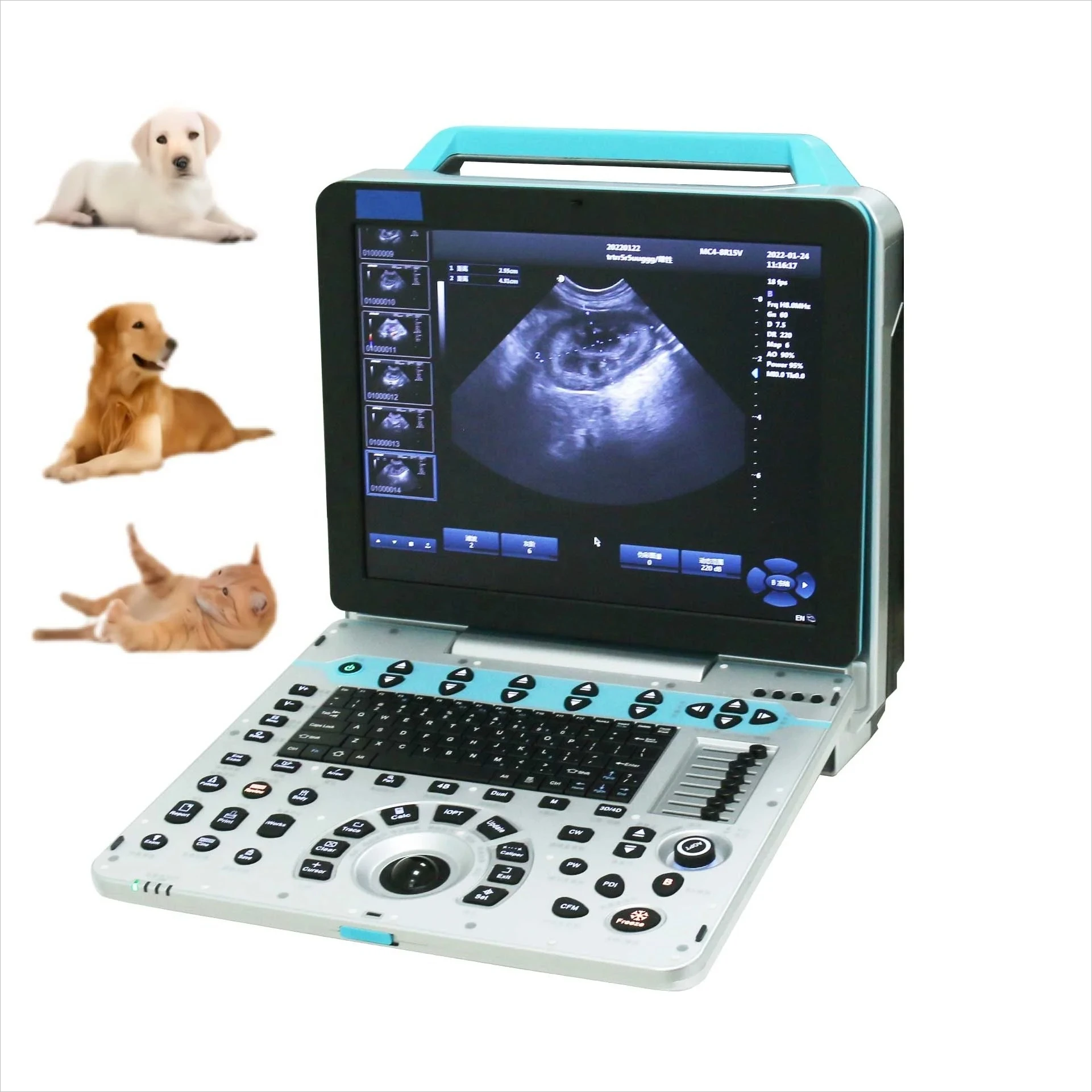 Veterinary Equipment Suppliers Portable Veterinary Ultrasound Dog Pregnancy Scanner