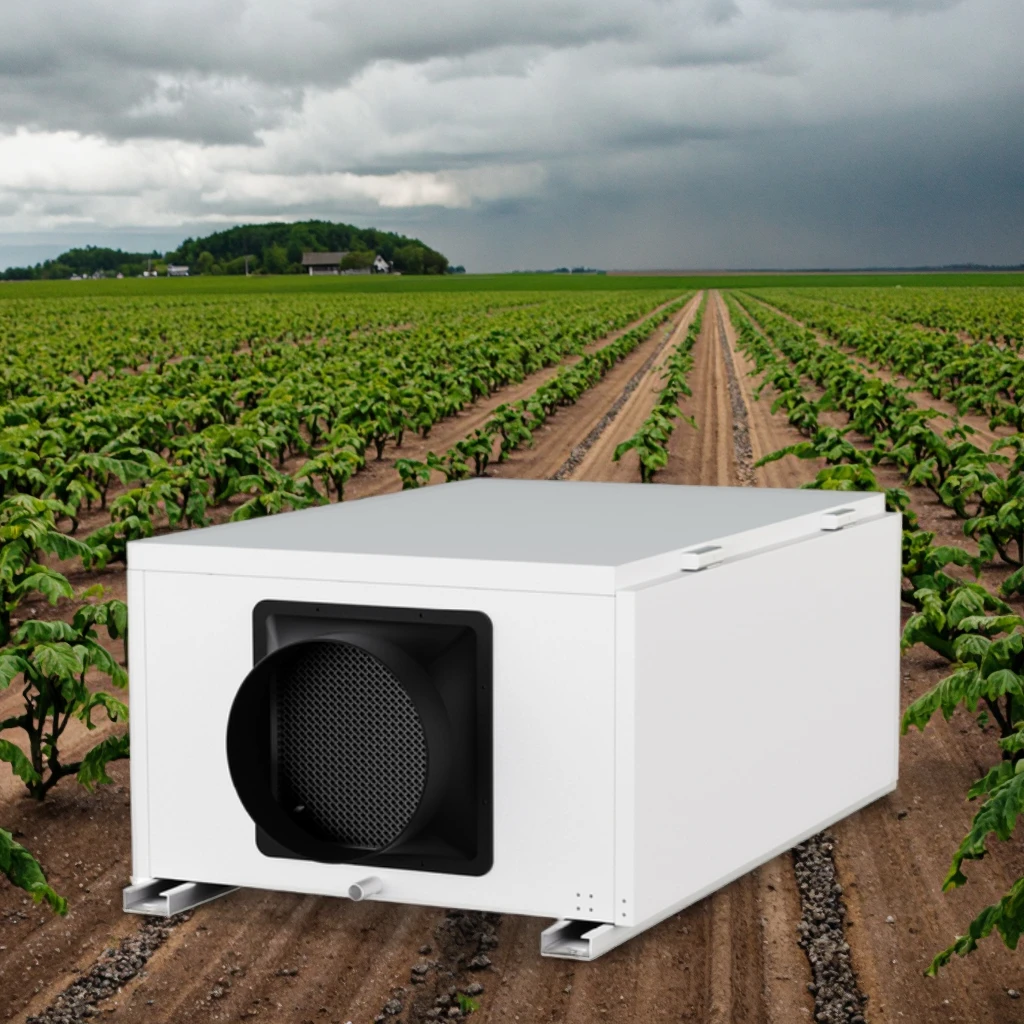 High-End China Export Electric Ceiling Dehumidifier Small Volume Efficient Equipment for Indoor Greenhouse Wine Cellar