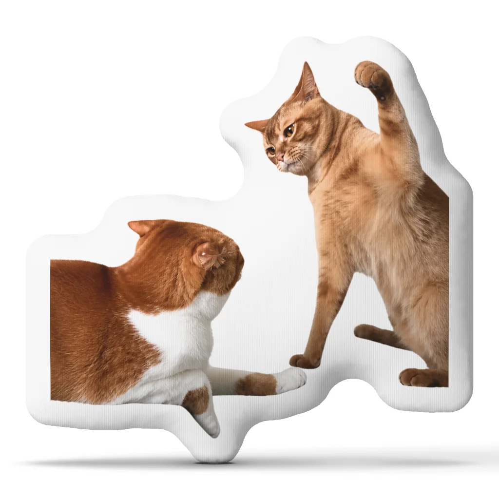 Slapping Rapid‑Fire Slap Cats Macarena Cat Fight Meme Plush Pillow Cushion Irregular Stuffed Throw Pillow Home Decor Gift Couch