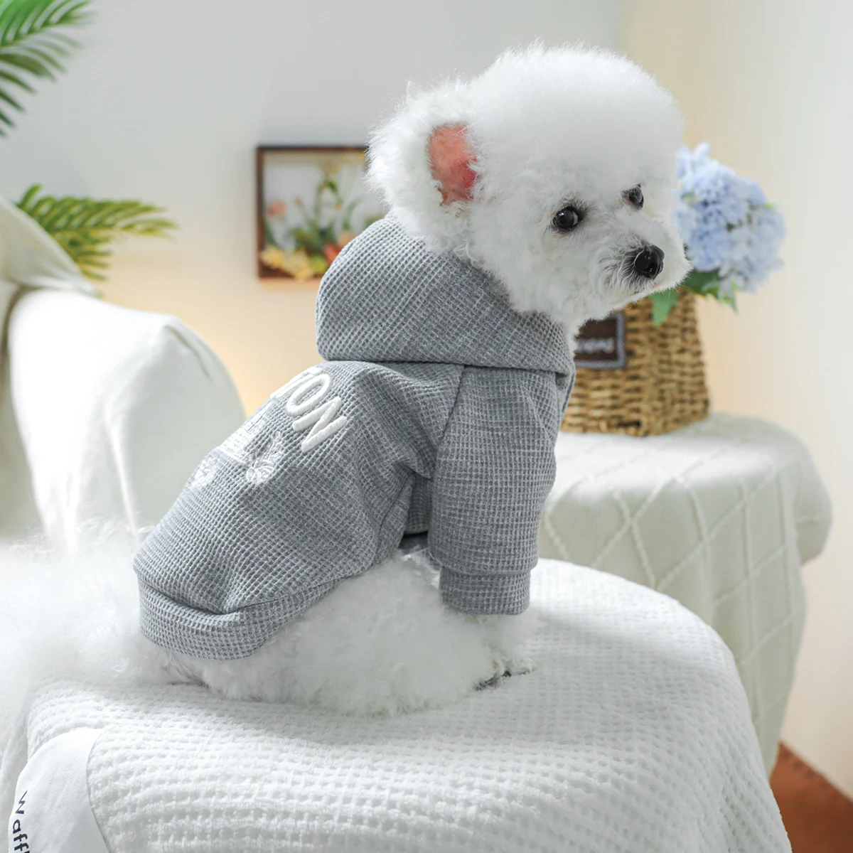 1PC Pet Clothing Spring and Autumn Fleece Grey Boston Hat Coat Suitable for Small and Medium sized Dogs