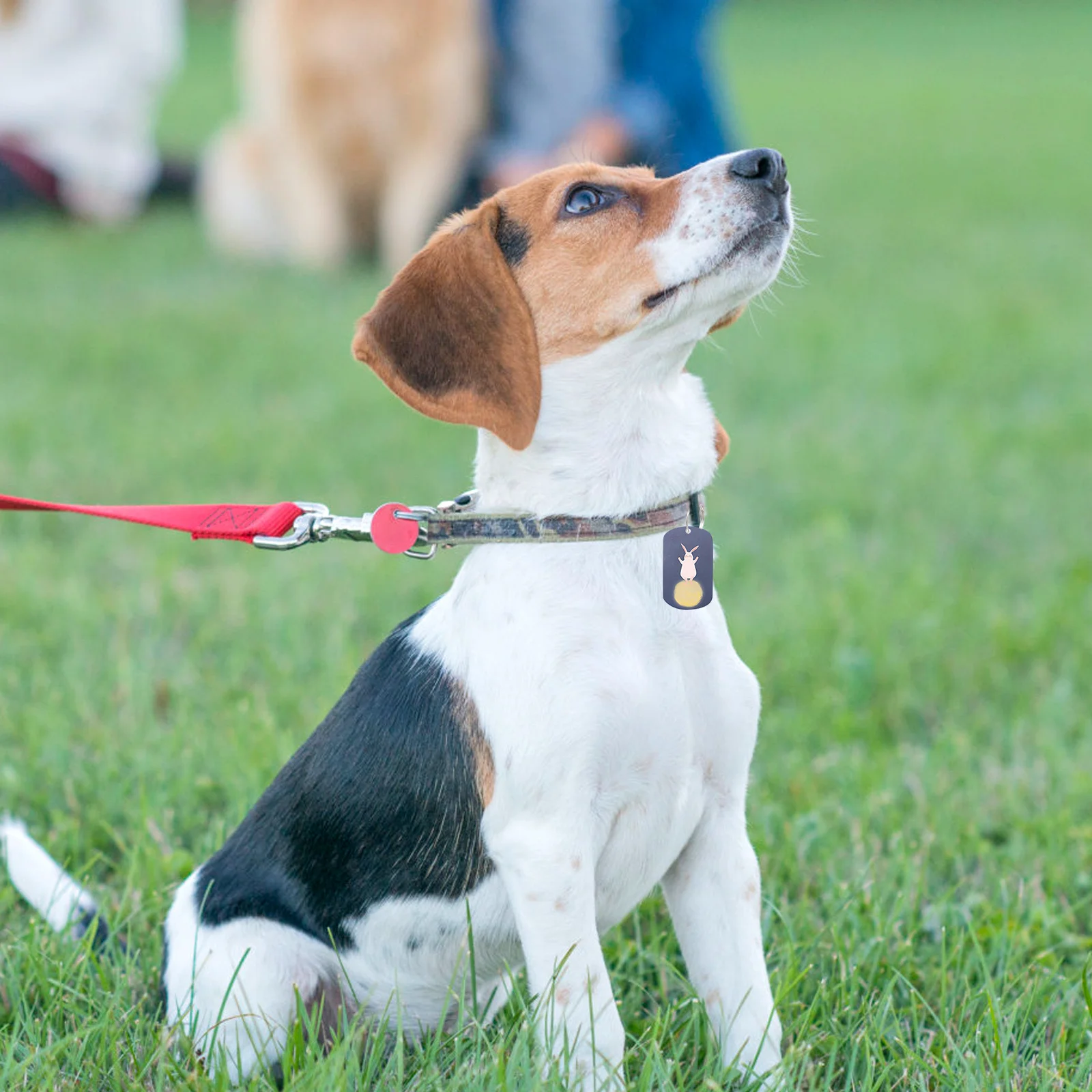 

2pcs Blank Dog Pendant Iron Pet Tag Sublimation Diy Personalized Hanging Charm For Puppy Plate Decor Gift