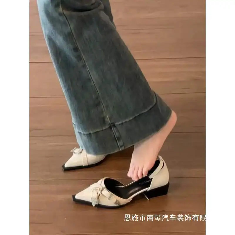

2026 New Spring Women's French Pointed Toe Low Heel Pumps, Elegant Shallow Mouth On Shoes, Gentle Style Versatile Casual Shoes