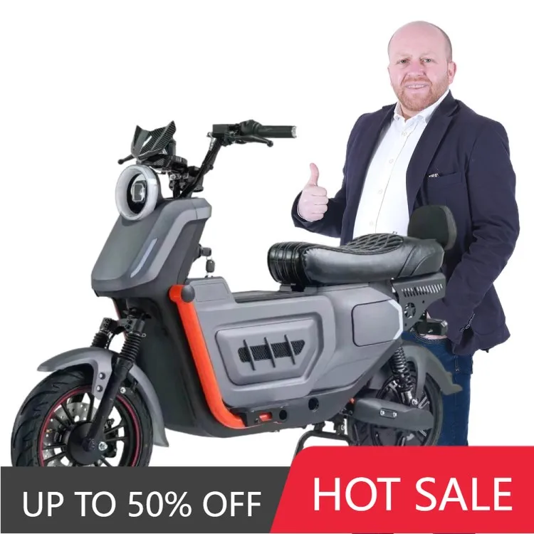 QQW Y2-GT1 Chinese factory latest electric bicycle 1000 watts clean energy large battery high speed long distance electric scoot