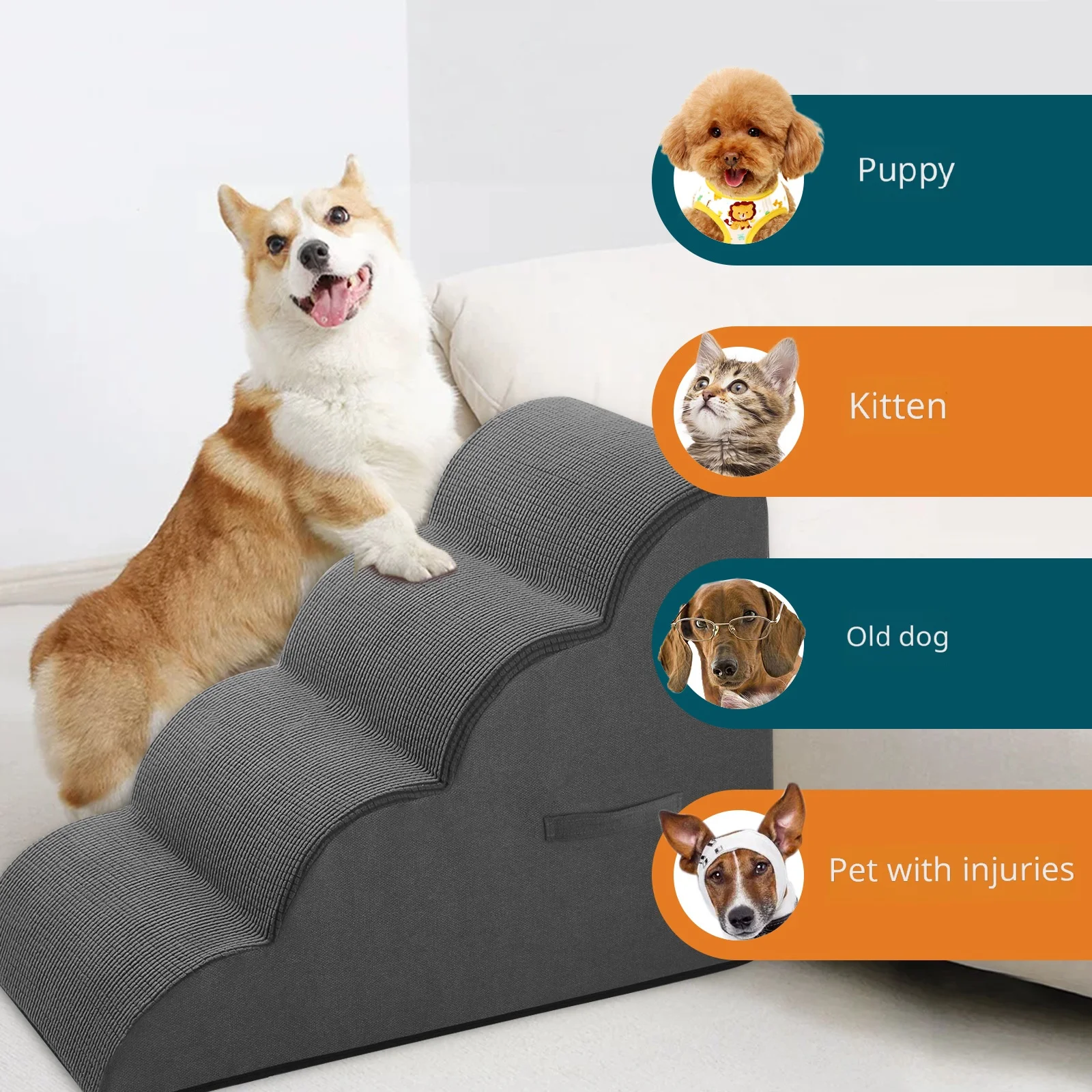 Thumbnail 2 - #20 Trending Puppy Ramps Right Now