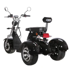 Warehouse Electric Motorcycle scooter 1200W citycoco/three fat wheel electric tricycle motorcycles