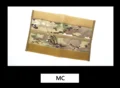 MC