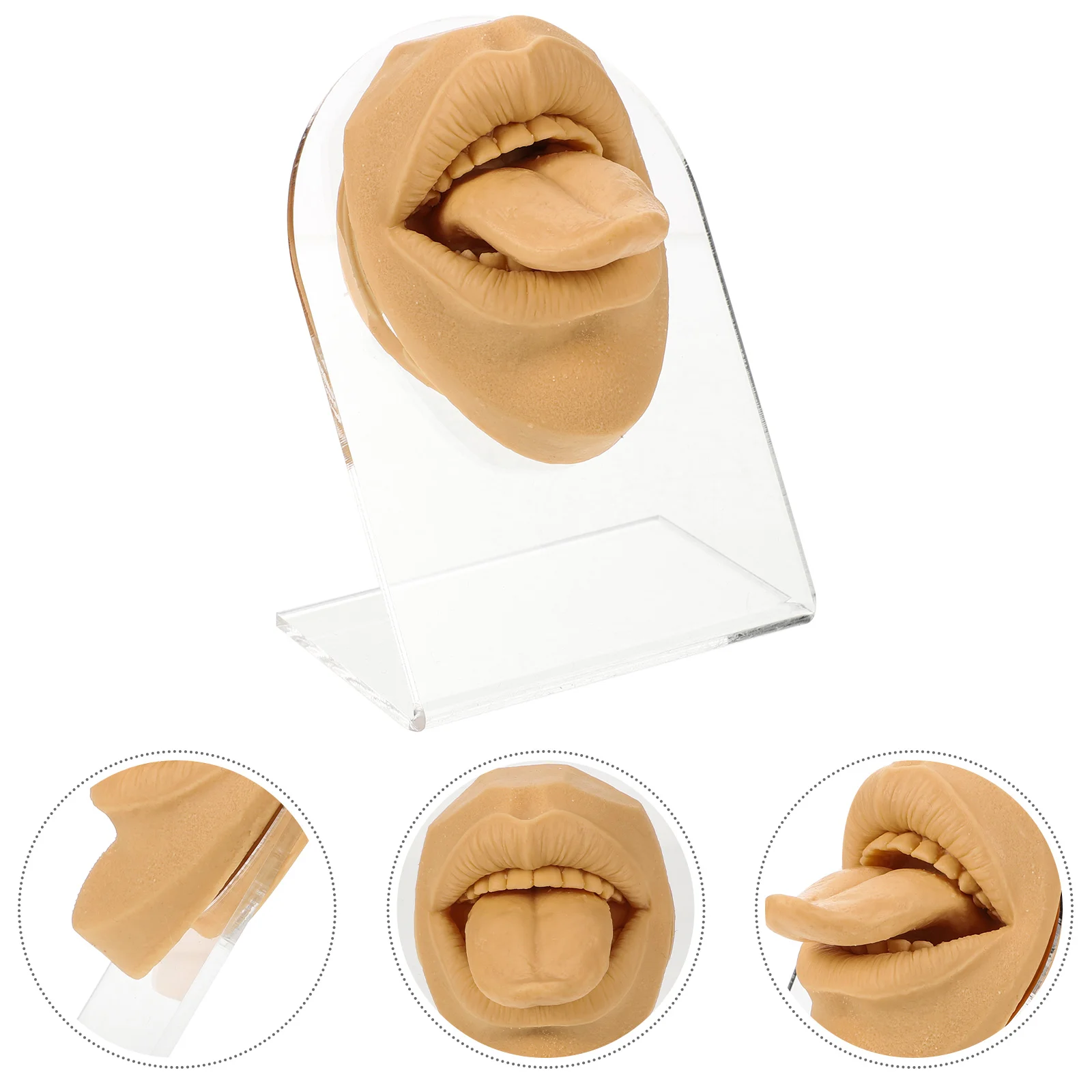 

Show Practice Model Tongue Nail Mannequin Piercing Face Silica Gel Silicone Fake