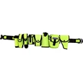 Green ( Black Belt )