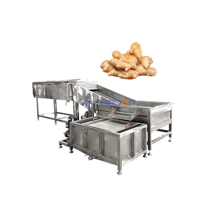 High Pressure Industrial Air Bubble Spray High-Accuracy Ginger Washing Machine for Vegetable Processing Plant