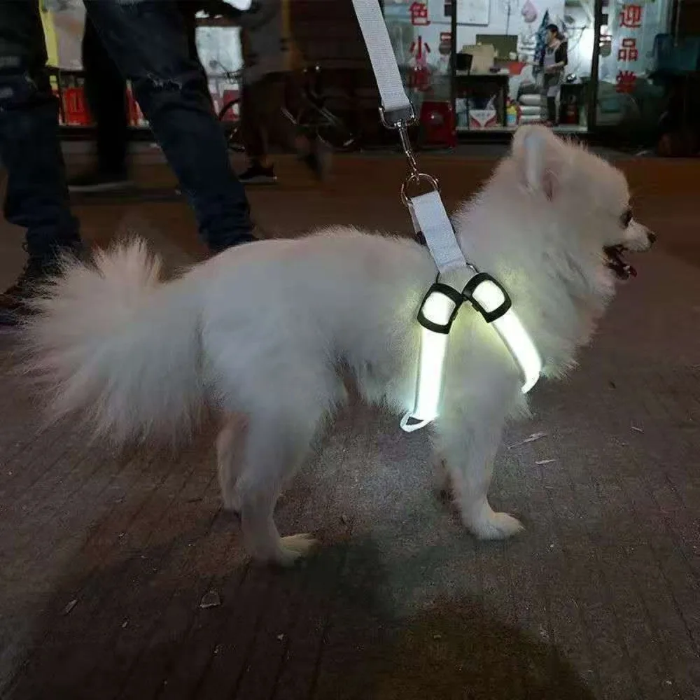 

Light Up LED Dog Harness Rechargeable Adjustable Luminous Pet Chest Strap Flashing Soft Dog Glowing Vest Night Walking The Dog