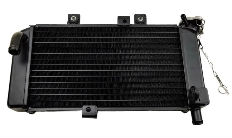 

Parts for Motorcycle Accessories 250NK250SR Water Tank Fan Radiator Assembly