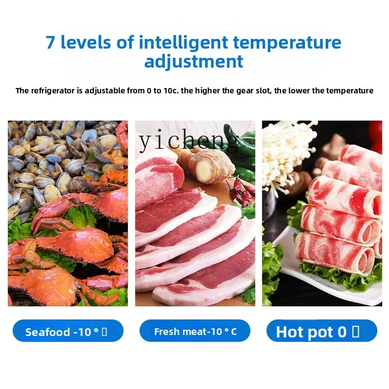 Vetrina per frutti di mare del supermercato ZZ, barbecue orizzontale commerciale, porta scorrevole per la conservazione della freschezza, un armadio la carte