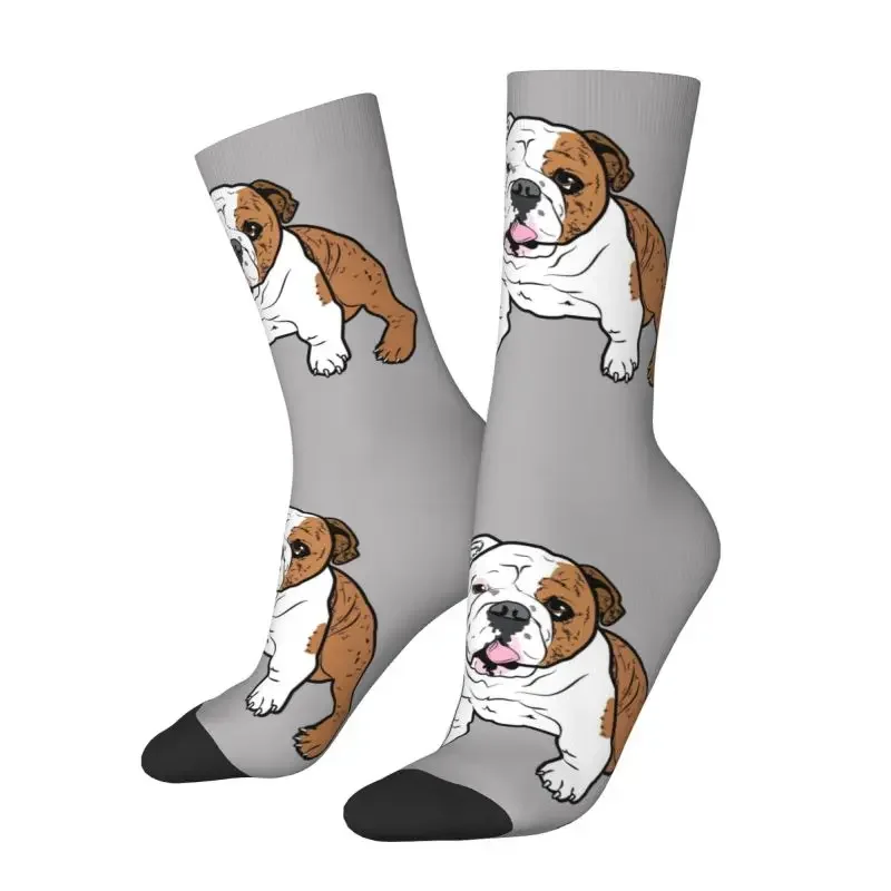 Cute English Bulldog Dress Socks Mens Womens Warm Funny Novelty British Pet Dog Lover Crew Socks