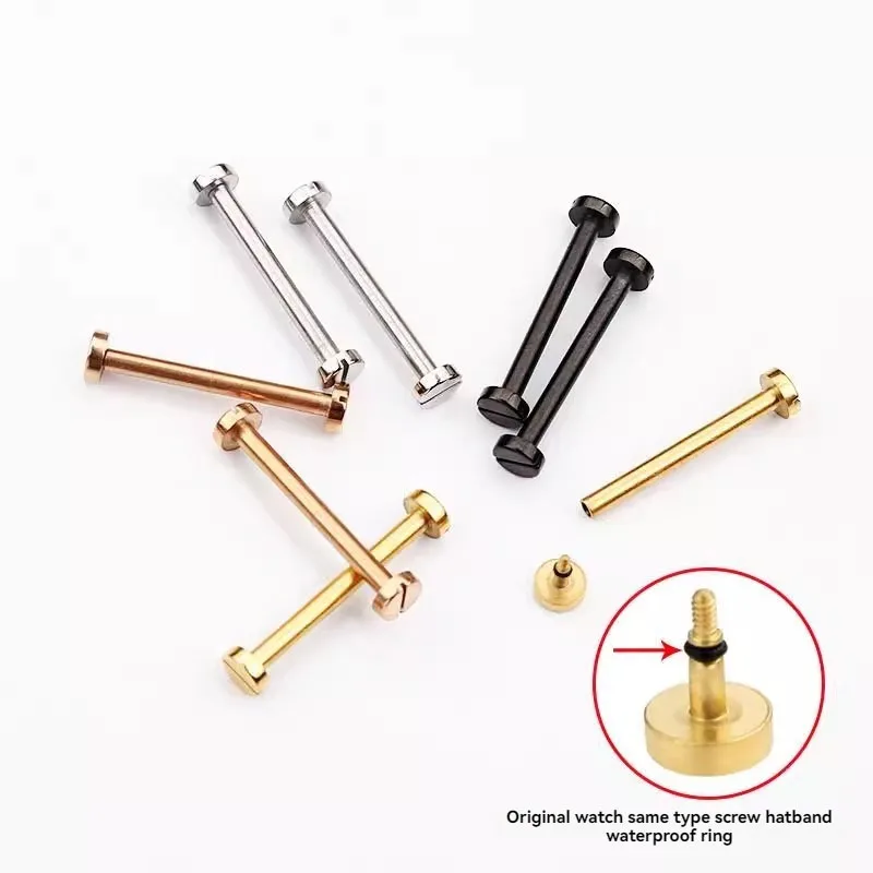 19.6mm 21.6mm Screw Rod For Cartier Pasha SEATIMER Watch Steel Strap Ear Link Shaft Connecting Rod Watch Accessories