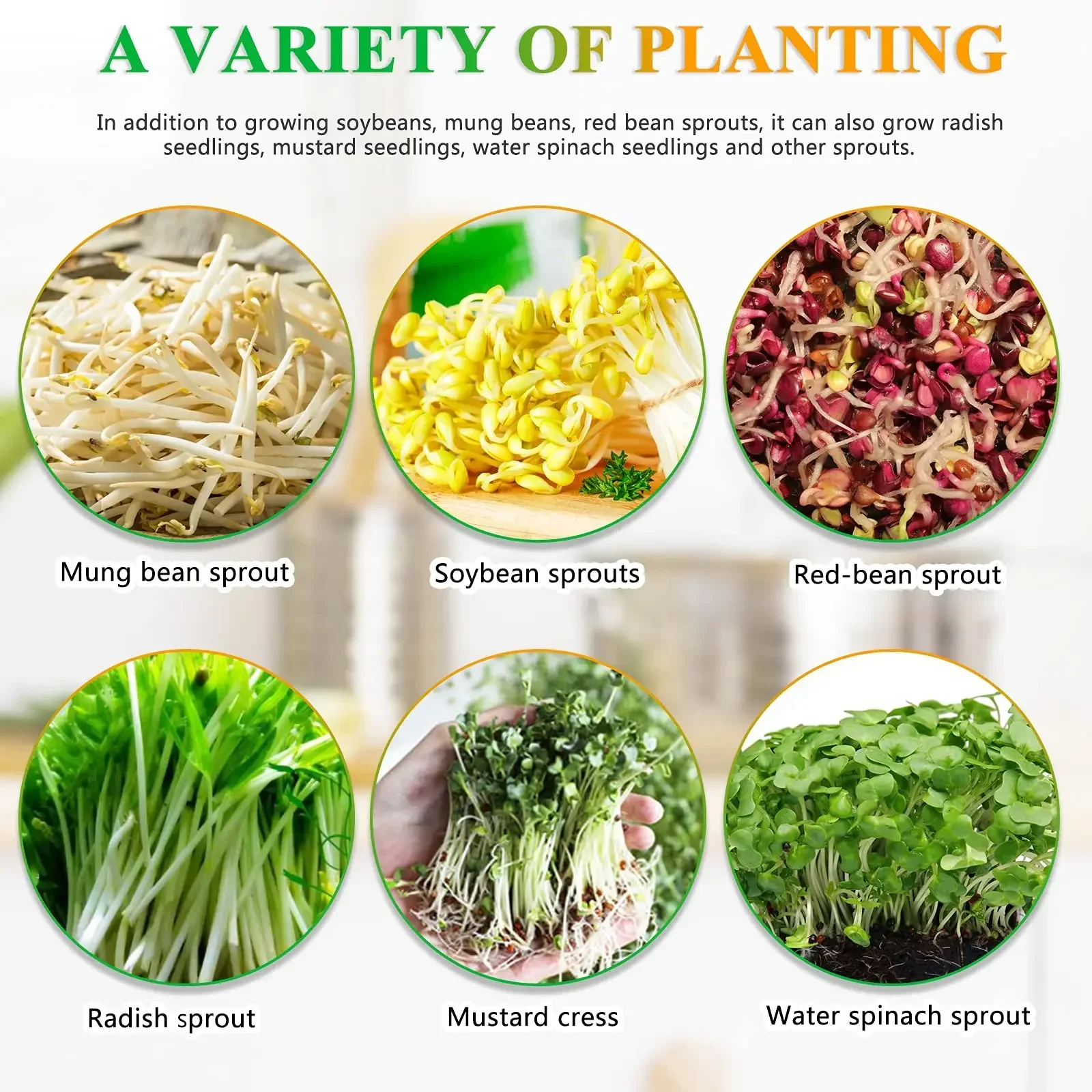 آلة براعم الفول الأوتوماتيكية الذكية ، زراعة البذور الخضراء ، سعة كبيرة ، ترموستات ، الاتحاد الأوروبي