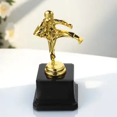 

Taekwondo Trophy Martial Arts Cup Plastic Statue Award Celebration Competition Prize Gift for Kids Students Winner