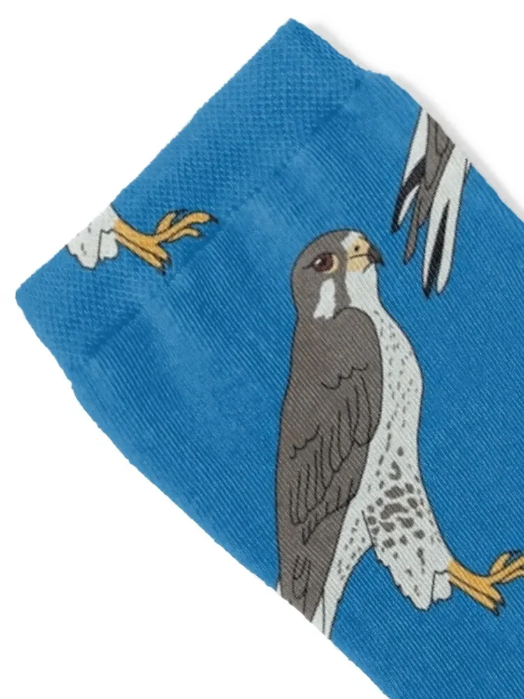 Peregrine Falcon Socks japanese fashion soccer anti-slip cartoon men cotton high quality Boy Child Socks Women's