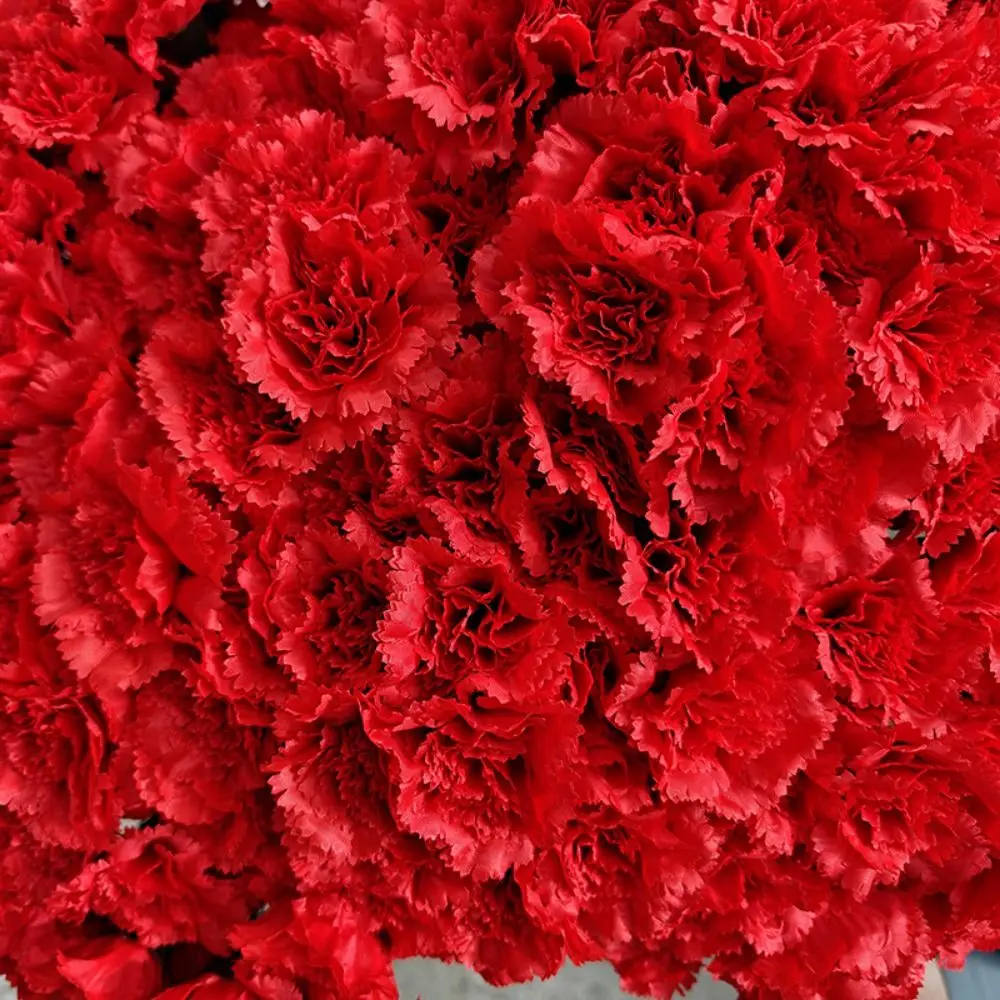 5 Piezas de Flores Artificiales de Seda, Color Rojo, para Decoración de Arco de Boda, Claveles Pequeños