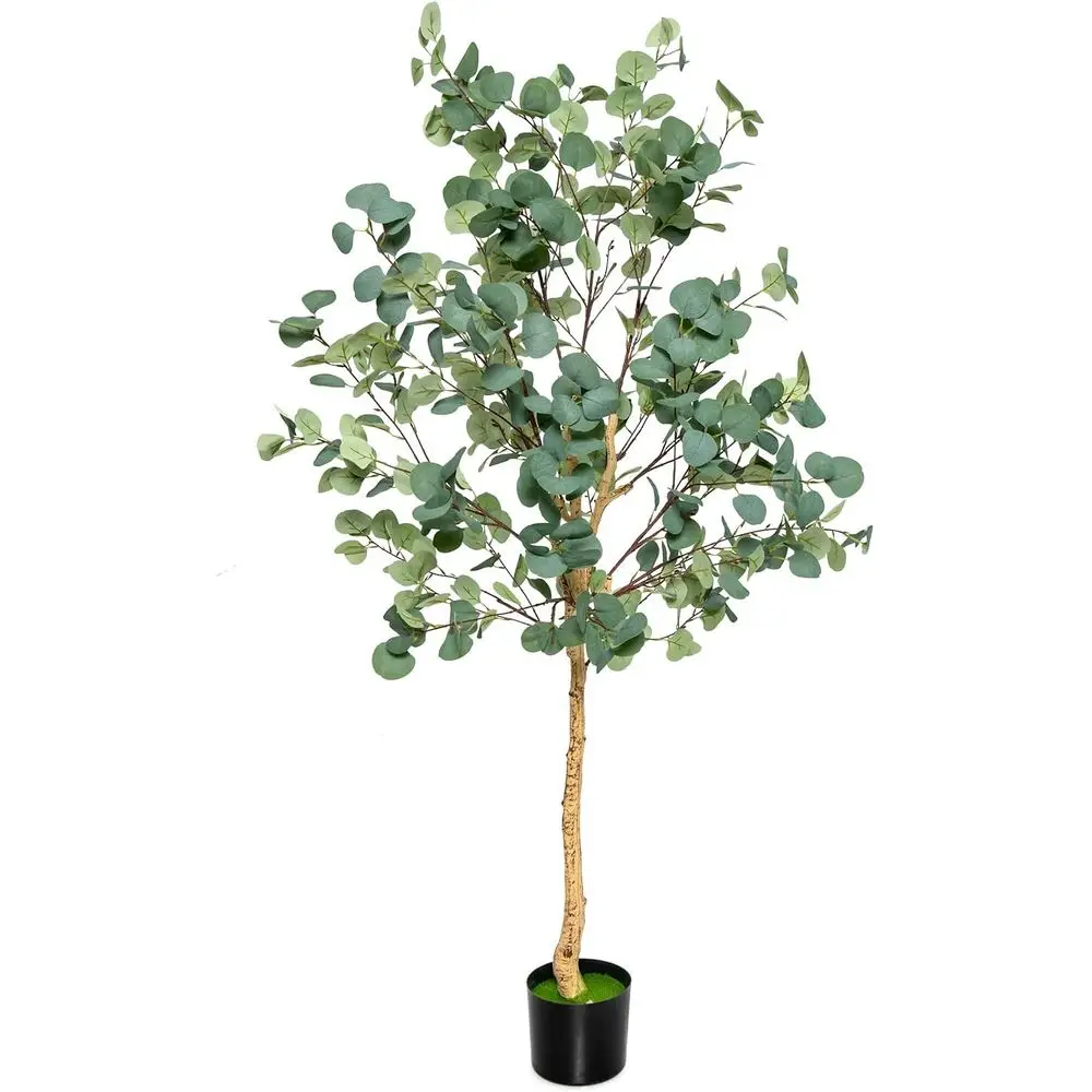 5.5ft Tall Artificial Eucalyptus Tree with 517 Silver Dollar Leaves for Indoor Living Room Decor