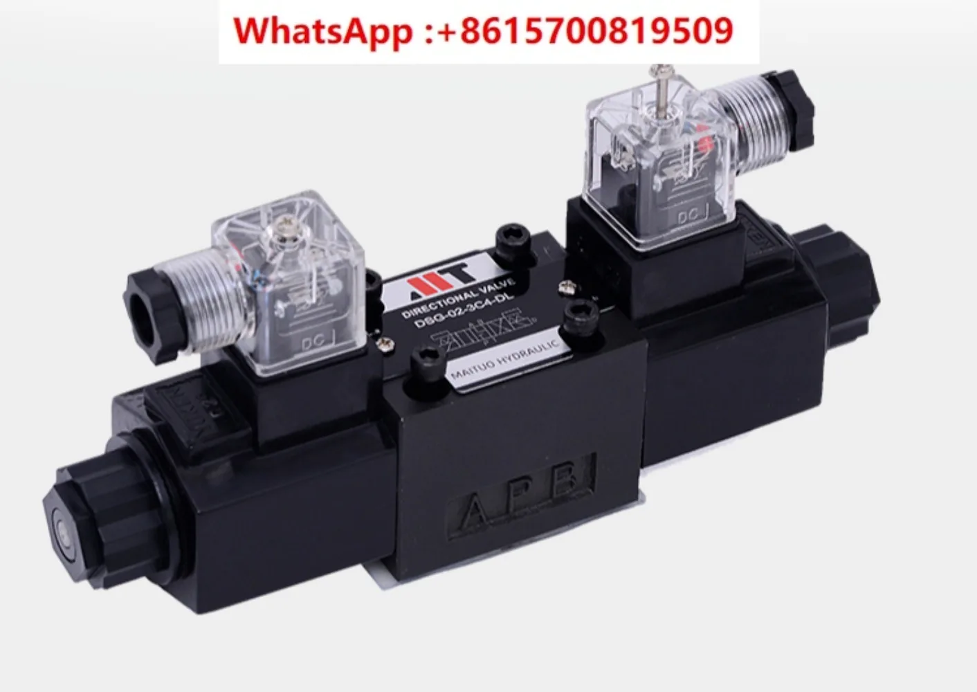 DSG-02 oil research type hydraulic solenoid two-way reversing valve check valve 3C2 3C6AC220V DC24V