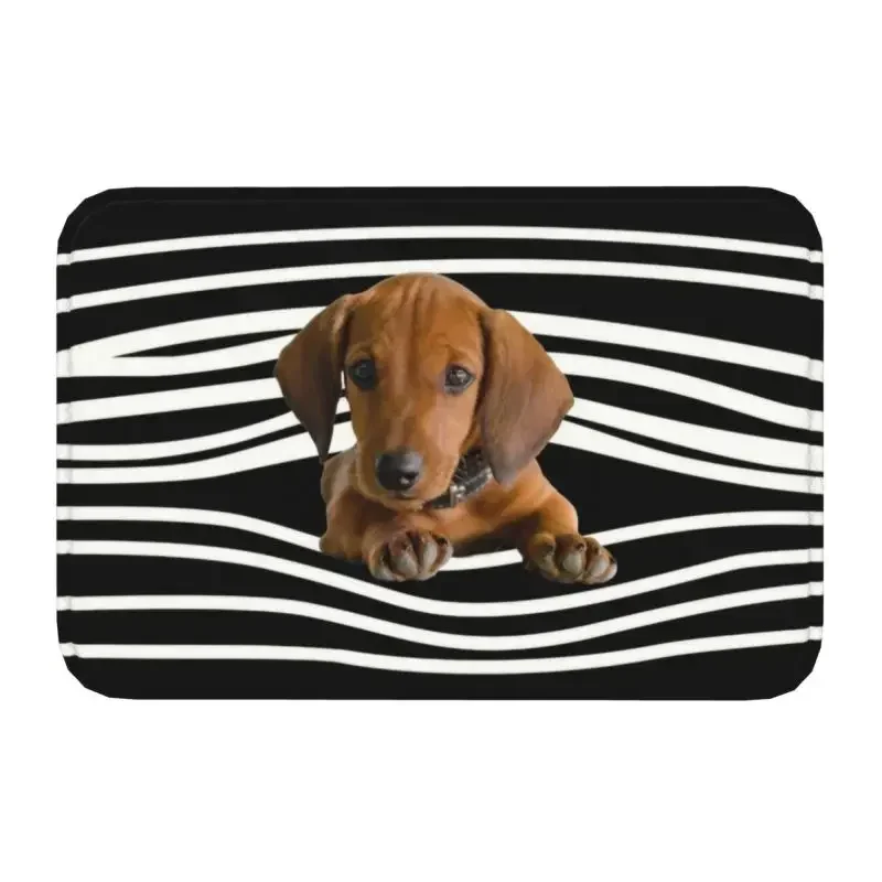 1PCDachshund Stripes Front Door Mat Anti-Slip Waterproof Weiner Dog Doormat Floor Bath Rug Toilet Living Room Footpad Carpet