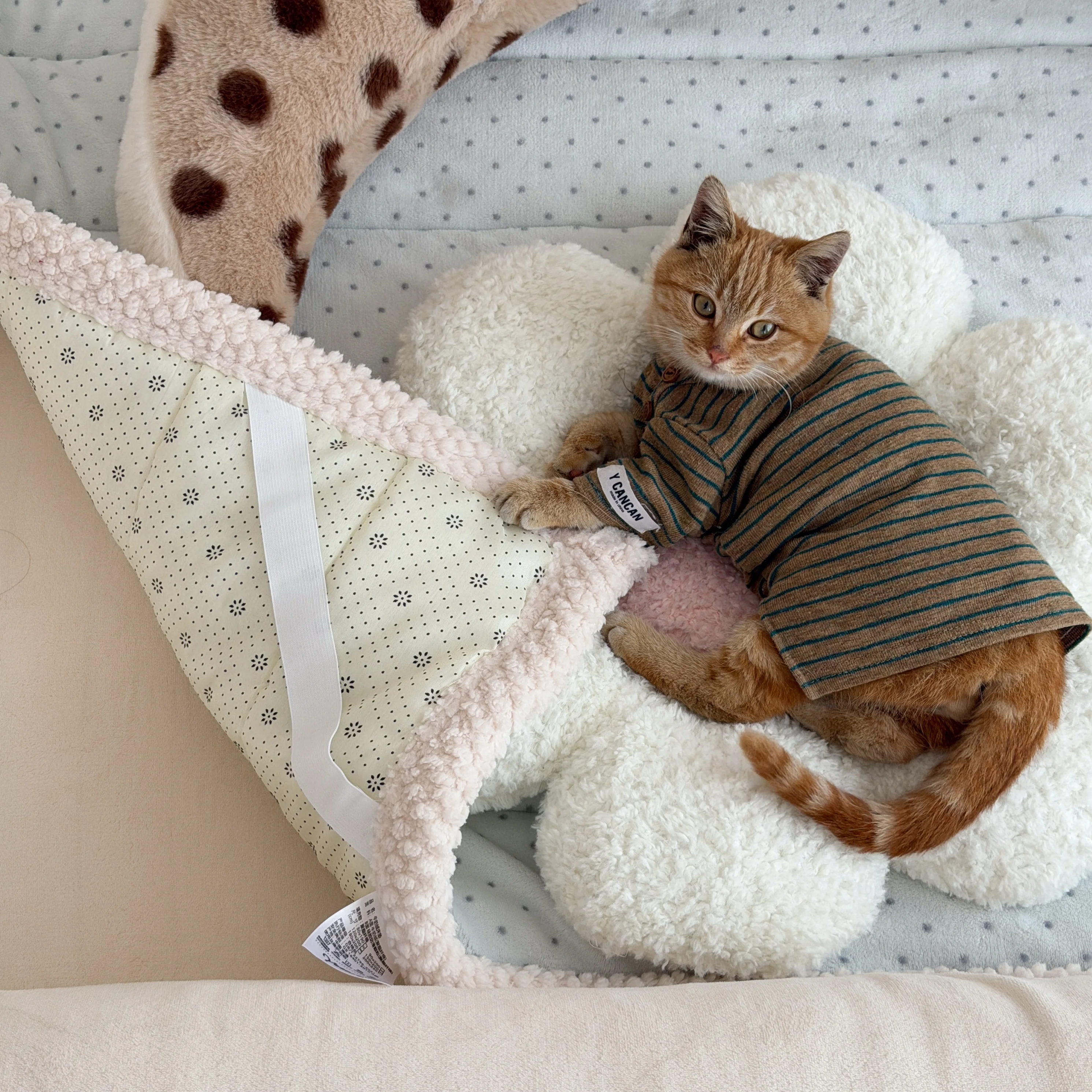 

HuaFaceCat Autumn Winter Thickened Plaid Cute Milk Velvet Warm Strawberry Bubbles Mattress Bedding Simple Modern Style Dormit...