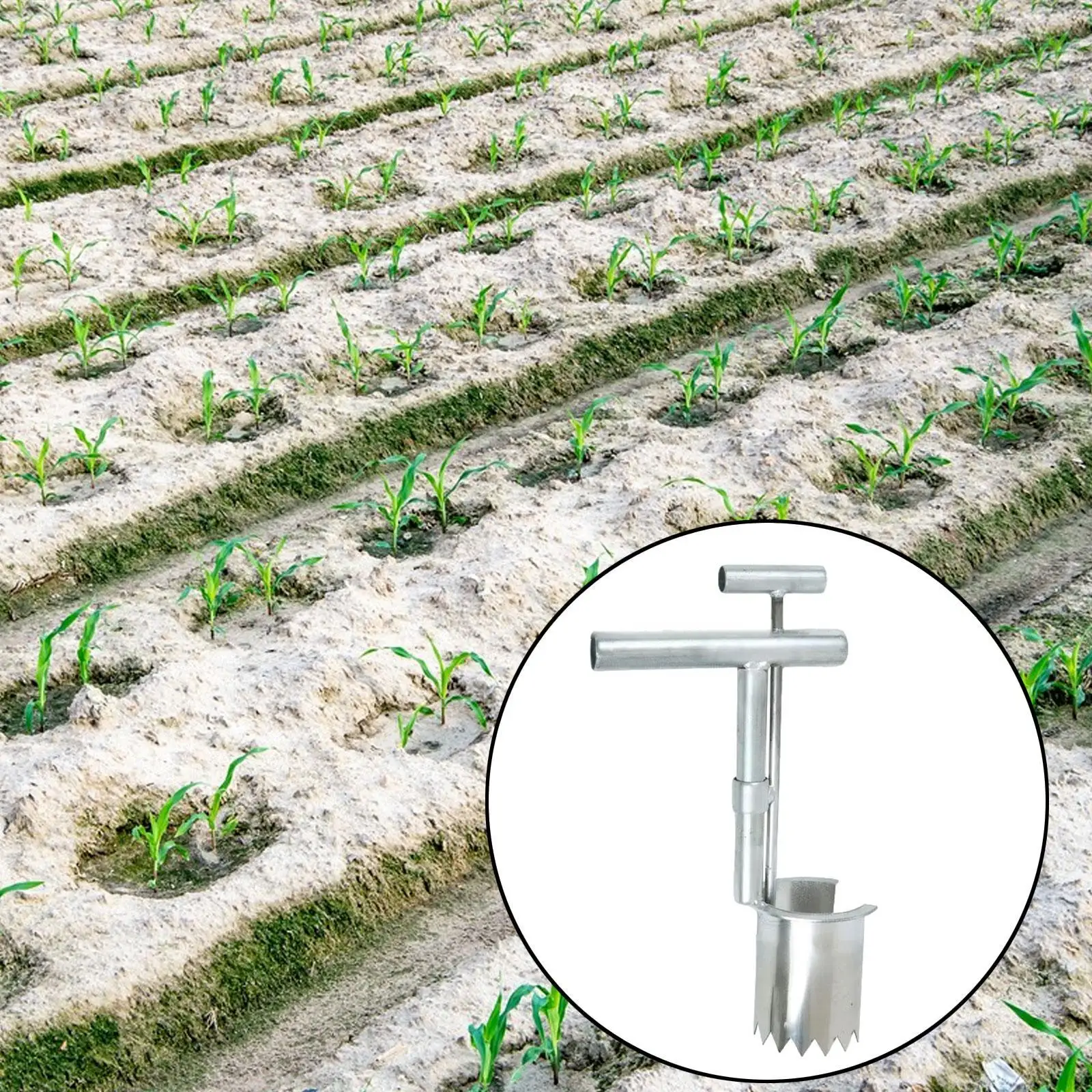 Bulb Planting Digging Tool Stainless Steel Cylinder Transplanter for Tulips Daffodils Garlic Onions Raised Beds